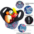 Food storage insulated meal lunch bag